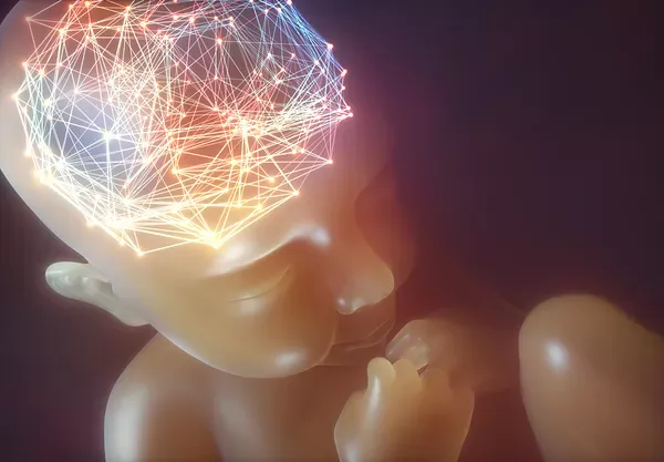 Illustration of brain and nervous-system connections