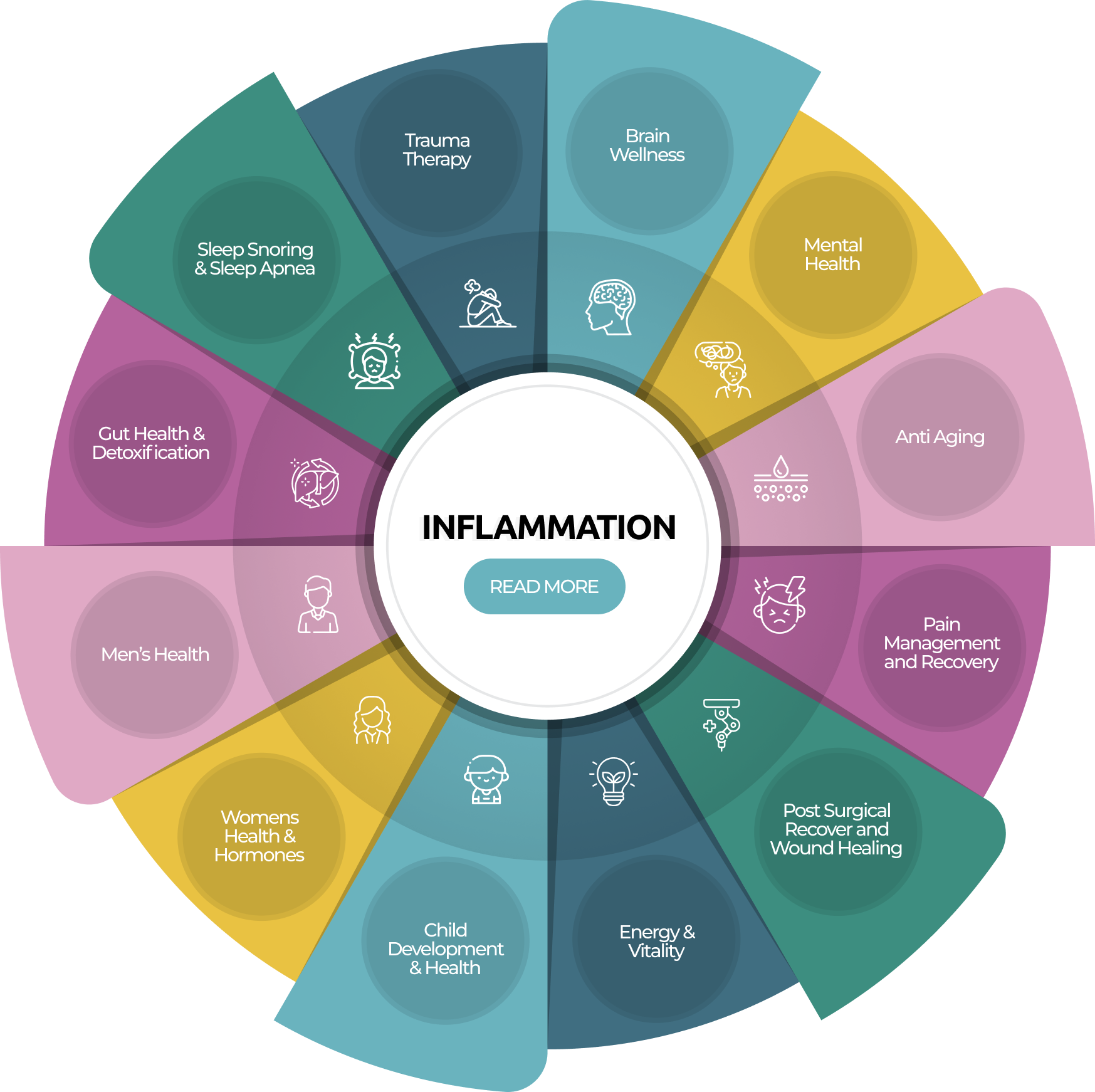 inflammation-wheel